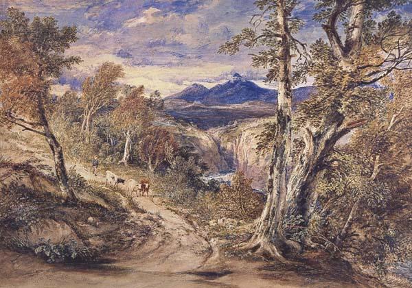 Anthony Vandyck Copley Fielding Scence in Glen Falloch,Argyllshire (mk47)